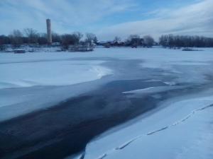 IMG_20150122_135438.jpg