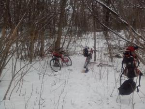 IMG_20150128_144223.jpg