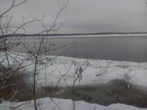 IMG_20150128_144210.jpg