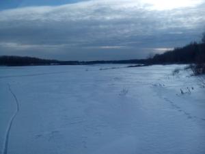IMG_20150122_135310.jpg