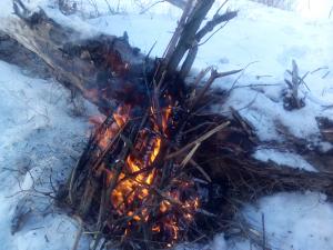 IMG_20150122_143951.jpg