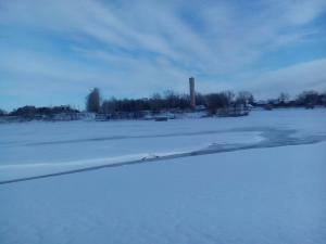 IMG_20150122_135317.jpg