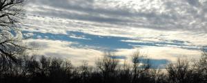 20150117_124022_2 images.jpg