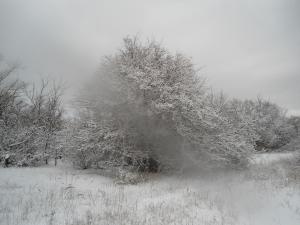 DSC03347.JPG