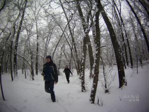 FILE0039.JPG