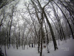 FILE0035.JPG