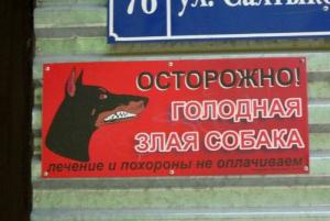 1313739529_marazm_43.jpg