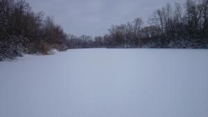 DSC_07881.JPG