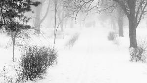 IMG_20160117_1502501.jpg