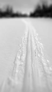 IMG_20160123_143640a.jpg