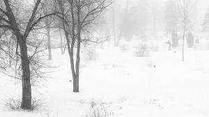 IMG_20160117_1506021.jpg