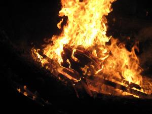 IMG_2978.JPG
