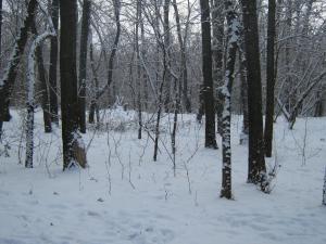IMG_3888.JPG