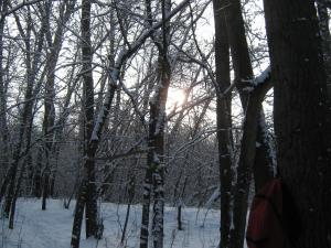 IMG_3893.JPG