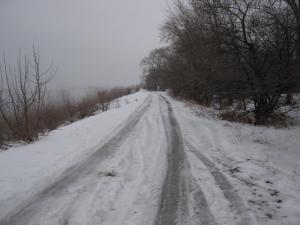 IMG_3787.JPG