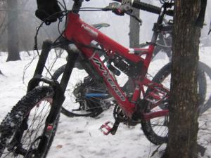 IMG_3785.JPG