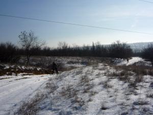 P1080601_новый размер.jpg