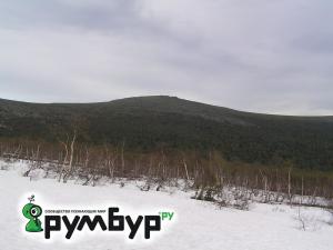 снежники.jpg