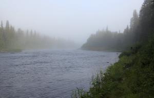 IMG_6288.jpg