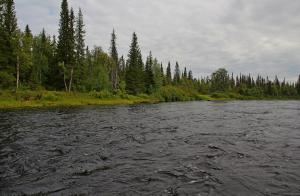IMG_6369.jpg