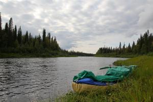 IMG_6375.jpg