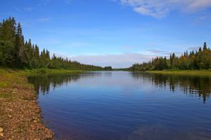 IMG_6390-2.jpg