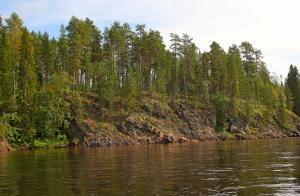 IMG_6400-1.jpg