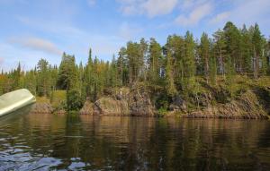 IMG_6404.jpg