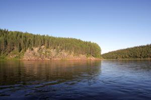 IMG_6532.jpg