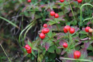 IMG_6643.jpg