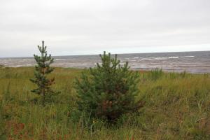 IMG_6647.jpg