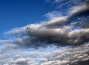 IMG_6772-2.jpg