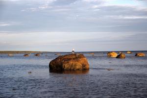 IMG_6809-1.jpg