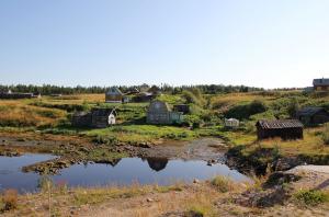 IMG_6851.jpg