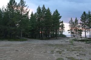 IMG_6931.jpg
