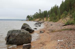IMG_6960.jpg