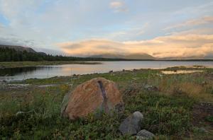 IMG_7042.jpg