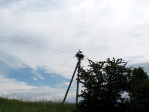 KLN-MSK d02a.jpg