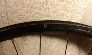 IMAG0117.jpg