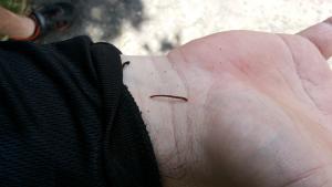20140225_120615.jpg