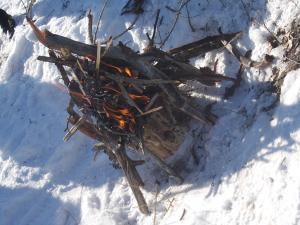 DSCN5226.JPG