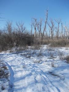 DSCN5257.JPG