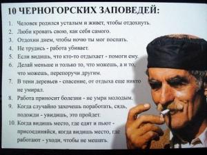 XXQP9iGYsZw.jpg