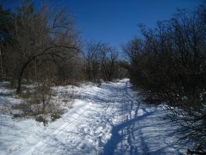 IMG_0047.JPG