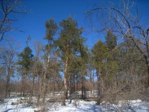 IMG_0046.JPG