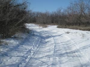 IMG_0038.JPG