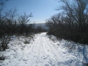 IMG_0043.JPG