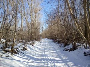 IMG_20150222_140758.jpg