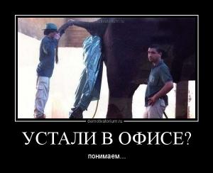 слон.jpg