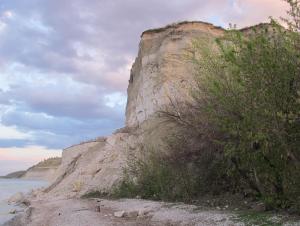 IMG_2631.JPG